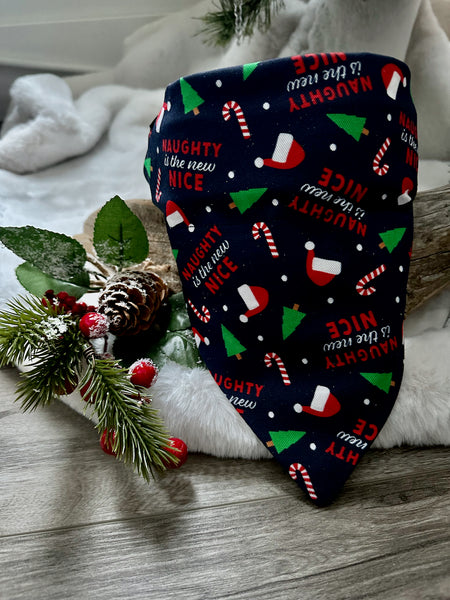Naughty or Nice?