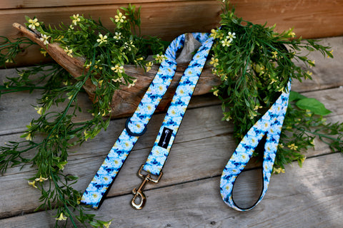 5ft Camellia Leash