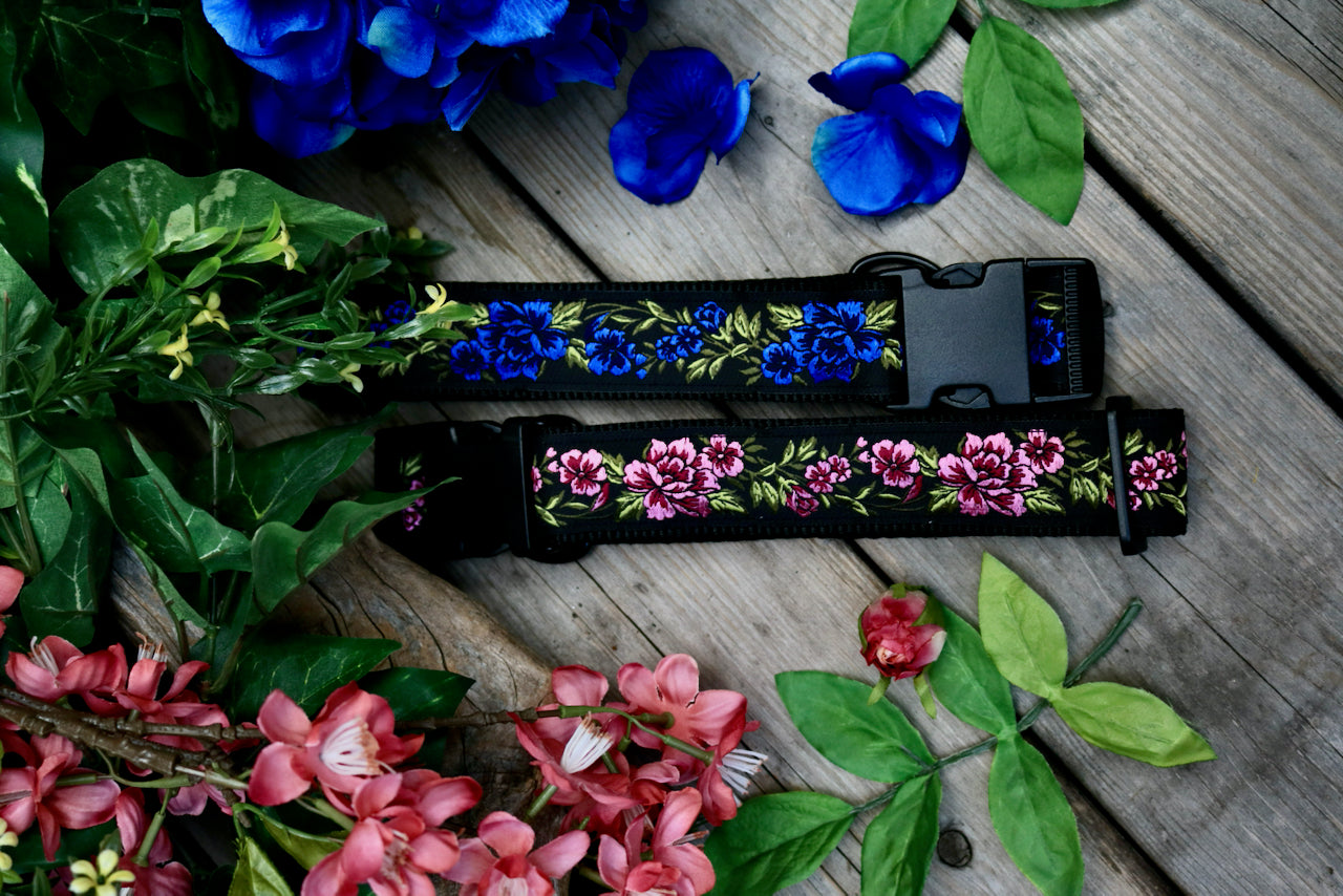 Bloom 1" and 1.5" Collar (two colours)