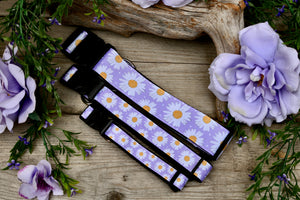 Purple Daisy 3/4" and 1” Collar