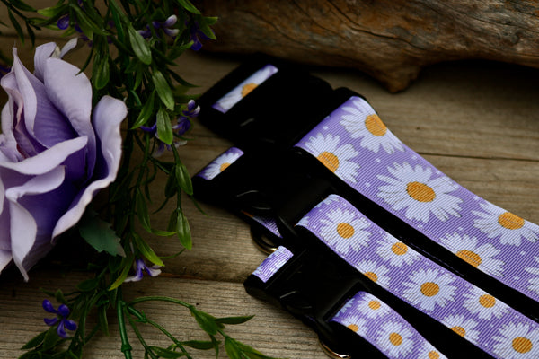 Purple Daisy 3/4" and 1” Collar