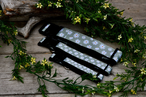 Green Daisy 3/4" and 1" Collar