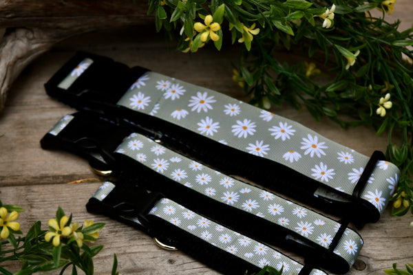 Green Daisy 3/4", 1" and 1.5" Collar