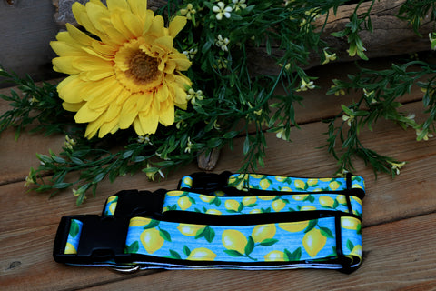 Lemonade 3/4", 1" and 1.5" Collar