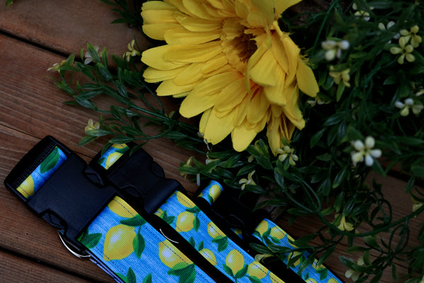 Lemonade 3/4", 1" and 1.5" Collar