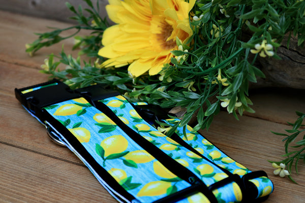 Lemonade 3/4", 1" and 1.5" Collar