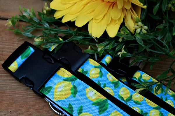 Lemonade 3/4", 1" and 1.5" Collar