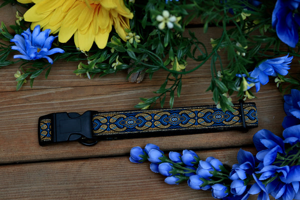 Rays 1" Collar