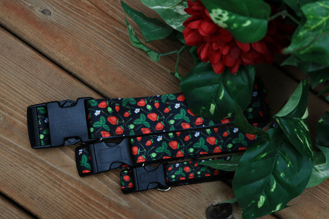 Strawberry Fields 3/4", 1" and 1.5" Collar