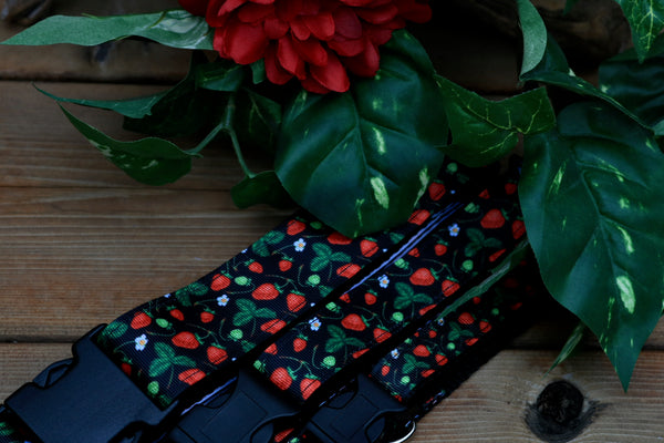 Strawberry Fields 3/4", 1" and 1.5" Collar
