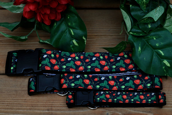 Strawberry Fields 3/4", 1" and 1.5" Collar