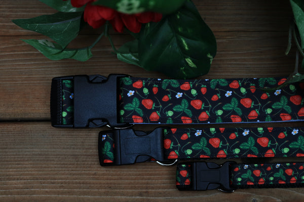 Strawberry Fields 3/4", 1" and 1.5" Collar