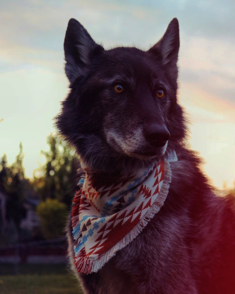 Kiska (M/L ONLY lol)