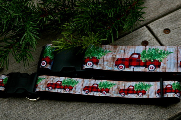 Mater 1" Collar