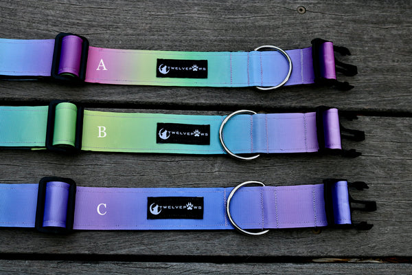 Spectrum 1.5" Collar (three shades)