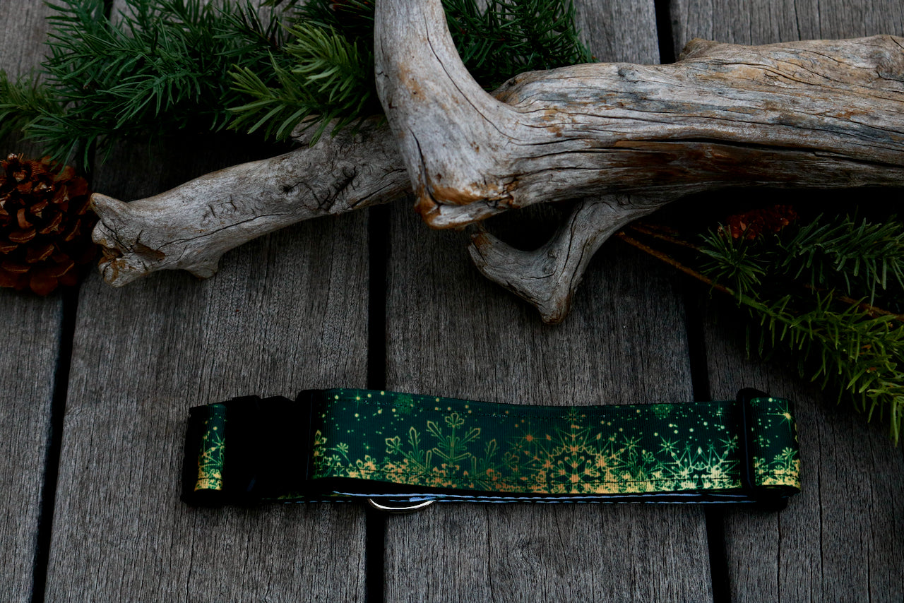 Golden Flakes 1.5” Collar