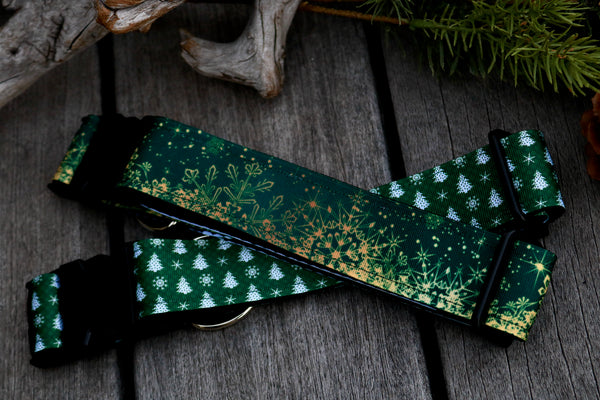 Golden Flakes 1.5” Collar