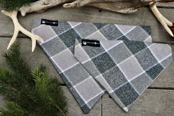 Joey Plaid
