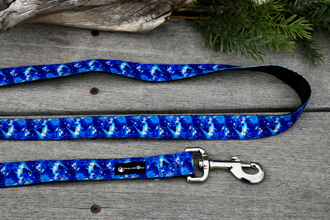 5ft Galaxy Leash