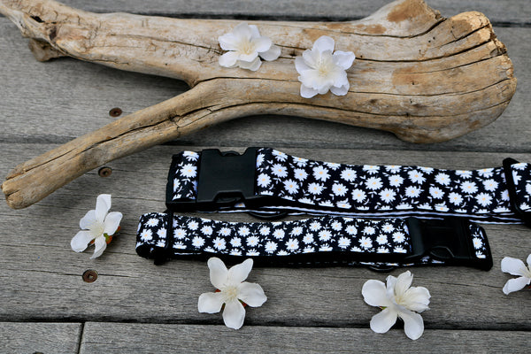 Daisy 1" and 1.5" Collar
