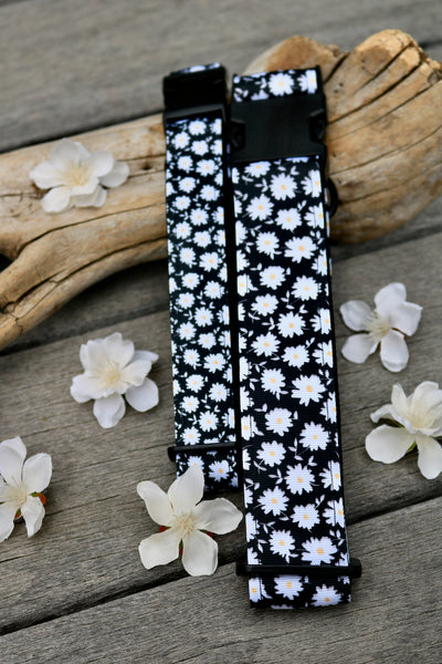 Daisy 1" Collar