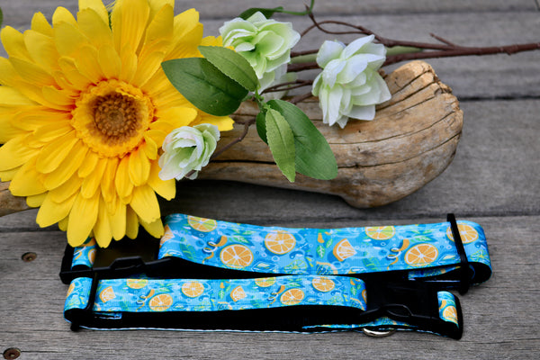 Mandarin 1” Collar (M Only)