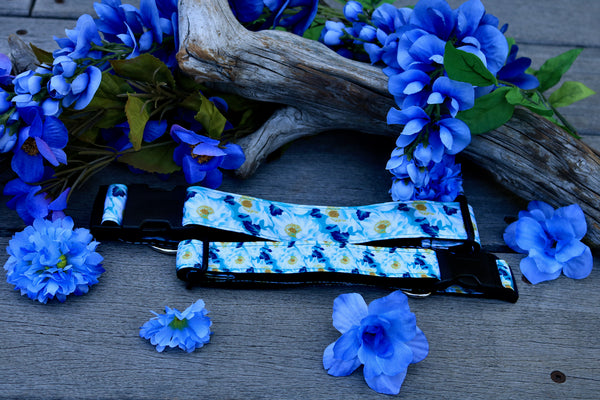 Camellia 1" and 1.5" Collar