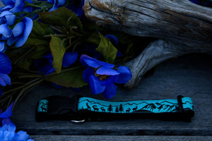 Adventure 3/4" Collar