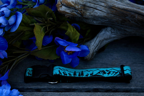 Adventure 3/4" Collar