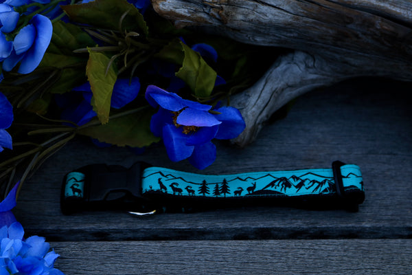 Adventure 3/4" Collar