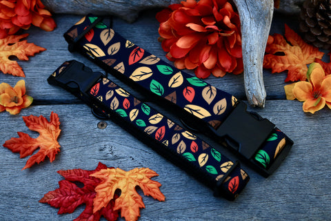 Autumn 1" Collar (1.5” Sold Out)