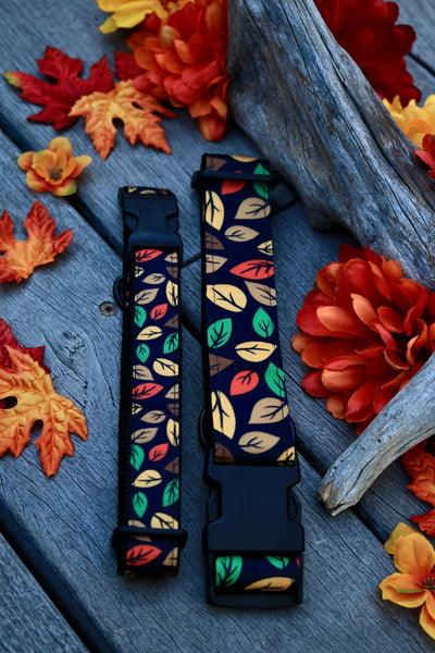 Autumn 1" Collar (1.5” Sold Out)