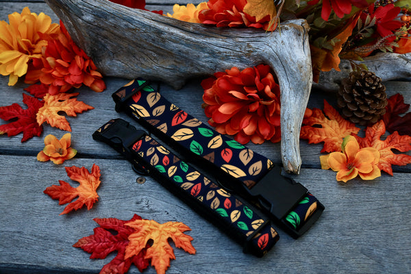 Autumn 1" Collar (1.5” Sold Out)