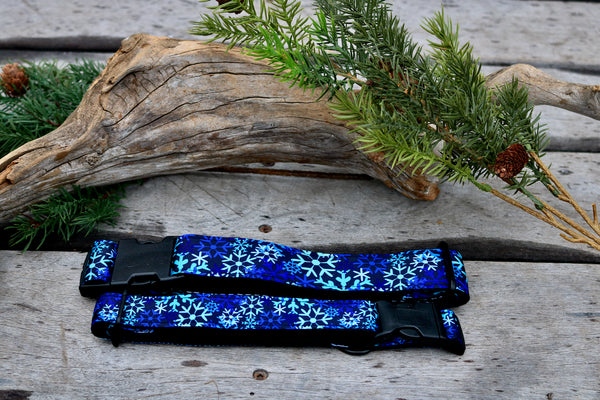 Frozen 1" and 1.5" Collar