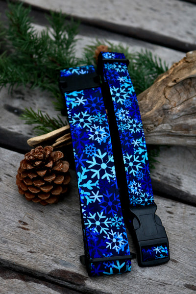 Frozen 1" and 1.5" Collar