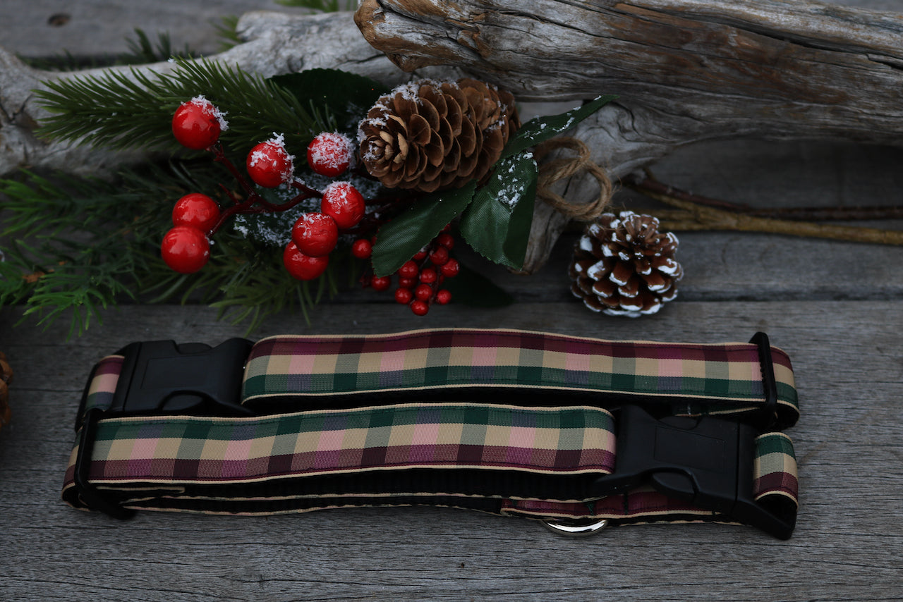 Festive 1"
