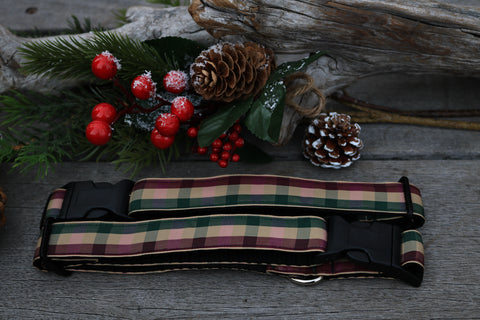 Festive 1"