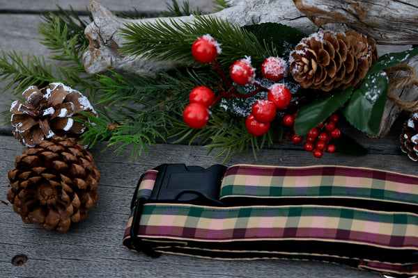 Festive 1"