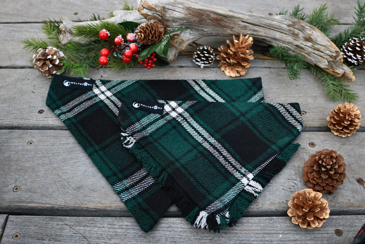 Holly Plaid (Fray Option no longer available)
