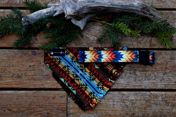 Phoenix Collar (3/4", 1", 1.5")