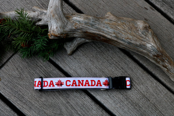 Canada 1" Collar