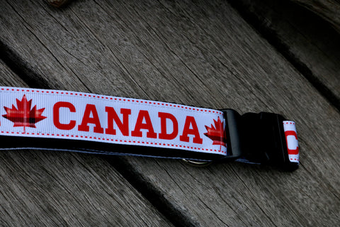 Canada 1" Collar