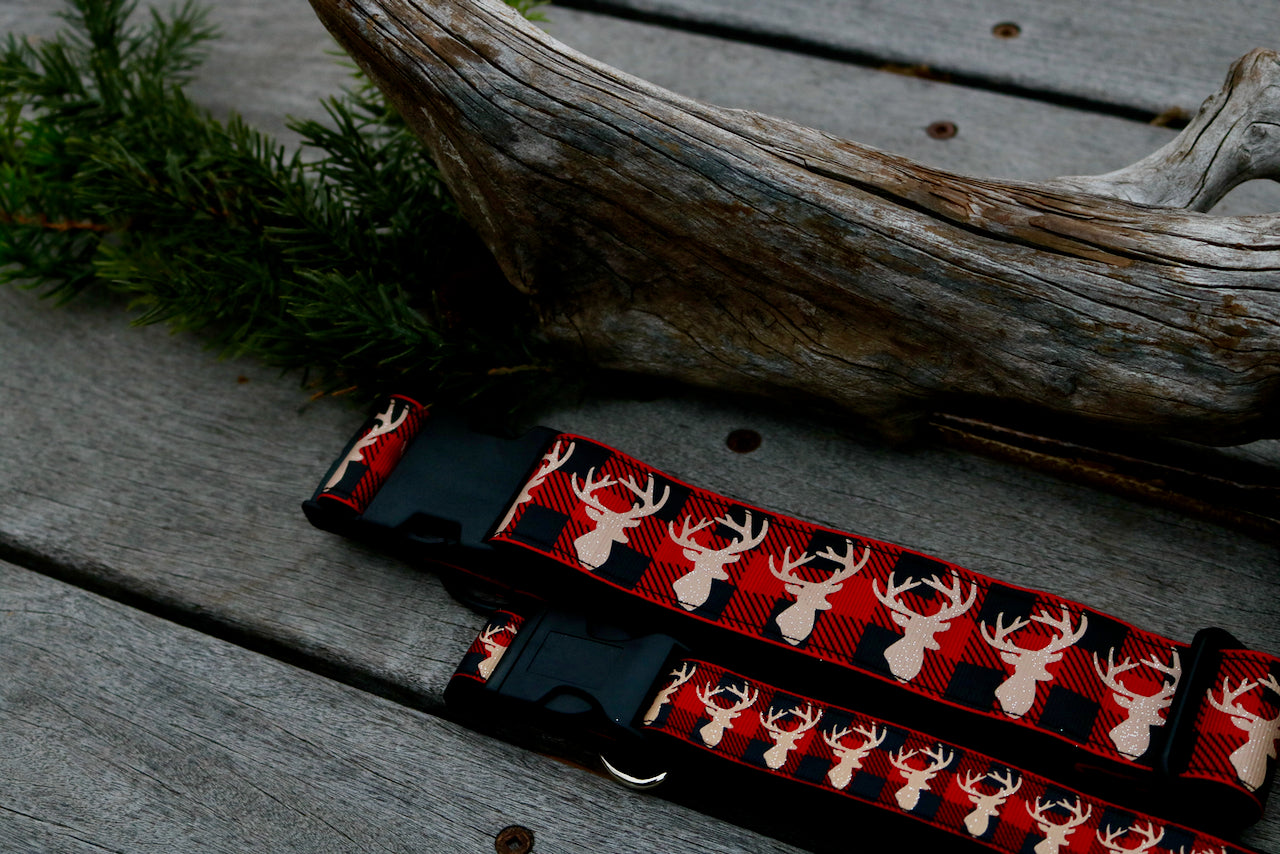 Red Buck 1" and 1.5" Collar