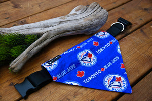 Blue Jay