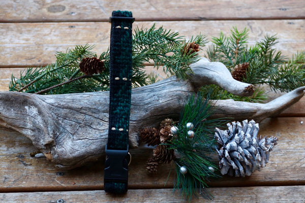 Green and Gold Wool 1" Collar